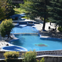 Hotel Apple Valley Resorts, 纳加尔 — 照片 4