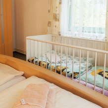 Modern Apartment in Reinhardtsdorf-Schona near Ski Slopes, 赖因哈茨多夫舍纳 — 照片 4