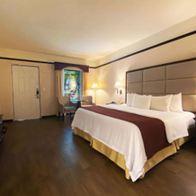 Safi Royal Luxury Centro, Монтеррей — фото 3