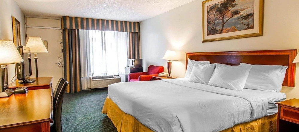 Holiday Inn - Dothan South, 多森 — 照片 1