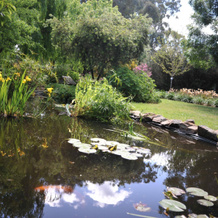 Stableford House Bed and Breakfast, Howlong — photo 2