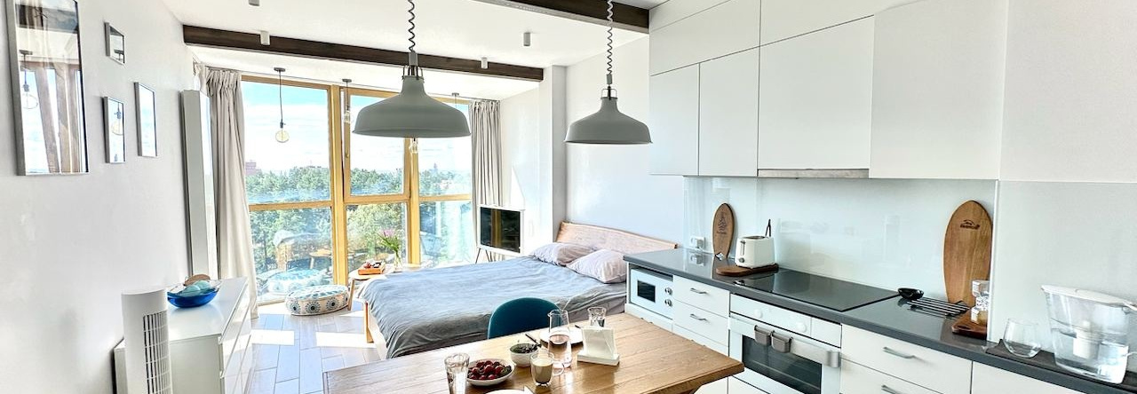 Vidovaya Serf Studiya Zelenogorsk Flat, 泽列诺戈尔斯克 — 照片 1
