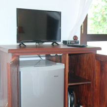 Boutique Villa Shanthi, Хиккадува — фото 3
