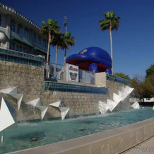 Homewood Suites by Hilton Fort Myers Airport/FGCU, 迈尔斯堡 — 照片 5
