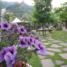 Room for 4 in The Countryside Near Montecassino, 圣埃利亚-菲乌梅拉皮多 — 照片 2