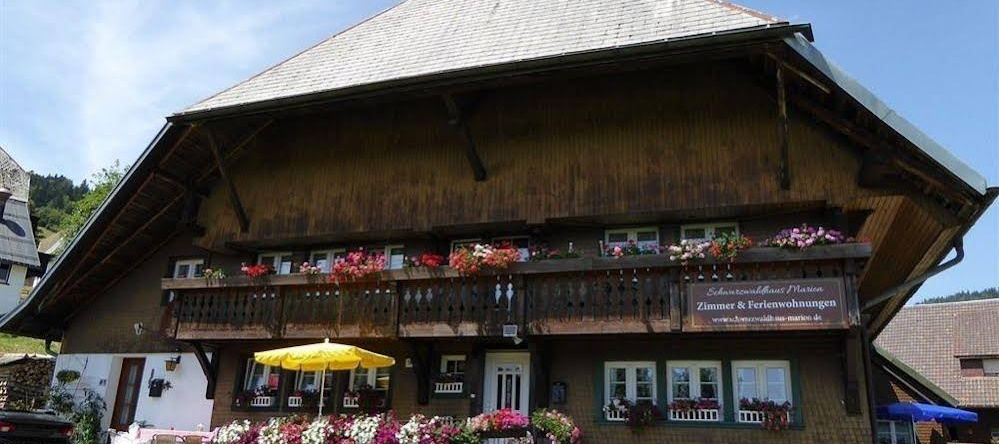 Schwarzwaldhaus Kathi, Todtmoos — photo 1