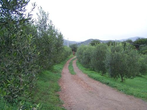 Nurazzolas, Villaputzu — photo 1