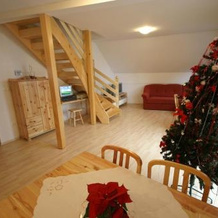 Apartment Karmen, Краньска-Гора — фото 5