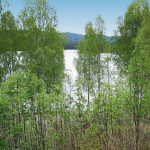 4 Person Holiday Home in Östmark, 托什比 — 照片 5