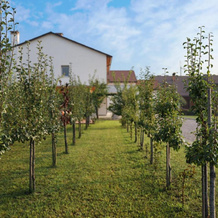 Agriturismo Corte Foscara, Mira — photo 2