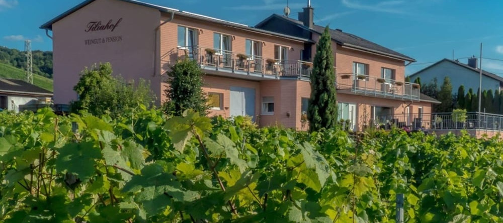 Weingut Tiliahof, 布劳讷贝格 — 照片 1