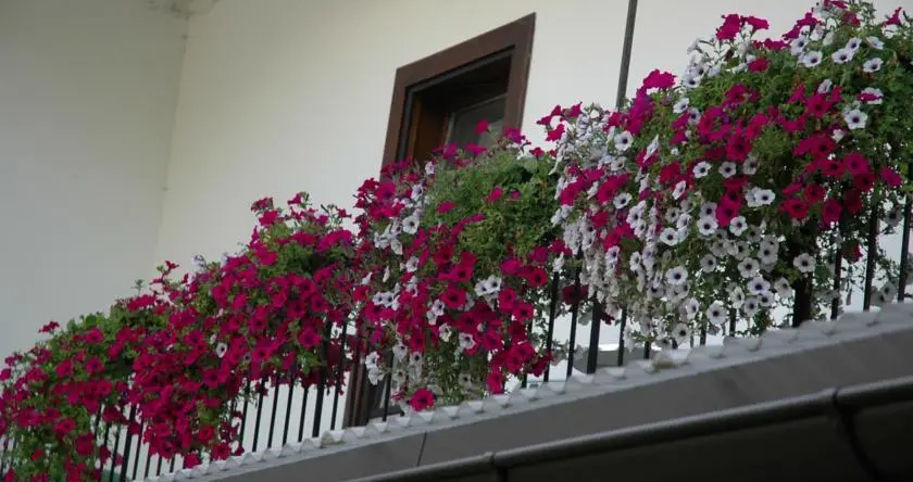 Gasthof-Pension Neumarkterhof, 诺伊马克特 — 照片 1