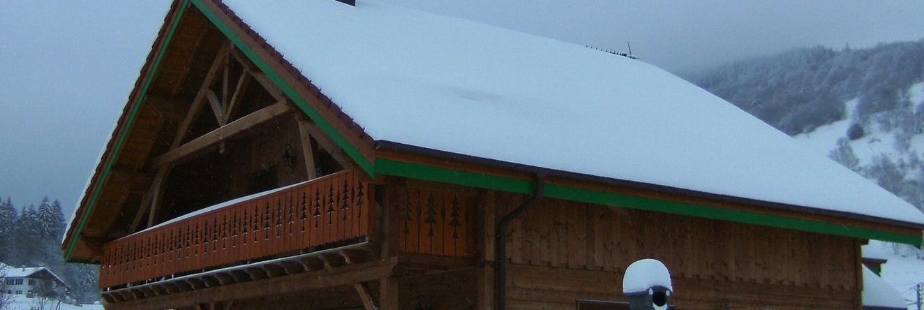 A large and magnificent wooden chalet with a sauna, 旺特龙 — 照片 1