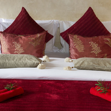 Trogon House and Forest spa, 库尔兰 — 照片 2