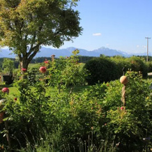 "Beim Bischof" Panorama-Ferienhof, Bernbeuren — photo 4