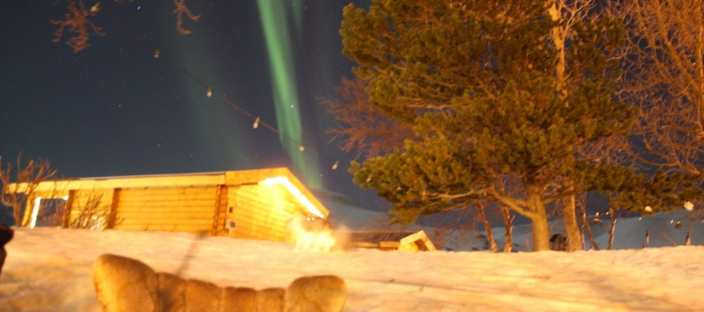 Dalvík Hostel and Cottages - Cottages, 达尔维克 — 照片 1