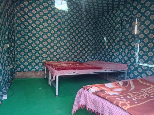 Camp Nature View, 希夫普里 — 照片 1