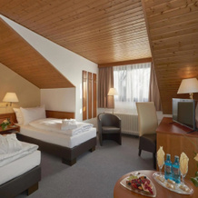 Parkhotel Frankfurt-Rödermark, 勒德马克 — 照片 3