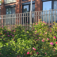 Na Beregu Finskogo Zaliva Flat, Kronshtadt — photo 4