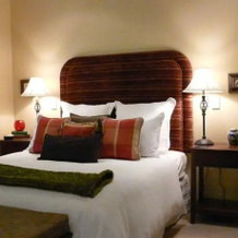 Richlyn Homestay Luxury Bed And Breakfast, 怀拉基 — 照片 2
