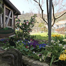 Da Marinella, Диано-Арентино — фото 5