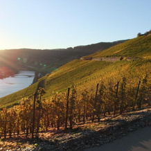 Weingut Lehnert-Veit Gutshotel, 皮斯波特 — 照片 5