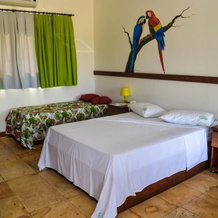 Complexo Capiba Fazenda Park Hotel, Парнамирин — фото 3