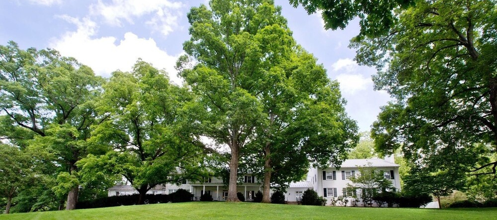 Tanglewood Manor House Bed & Breakfast, Клеммонс — фото 1