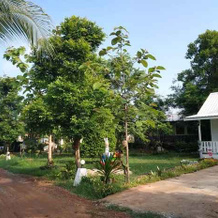 Benjamas Resort, 庞孔 — 照片 5