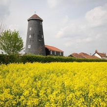 Yaxham Mill, Дерхэм — фото 3