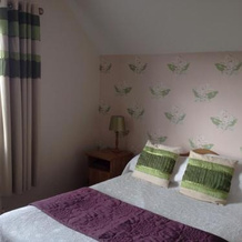 The Well Bed & Breakfast, Клонакильти — фото 3