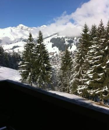 Chalet la Puce, 鲁日蒙 — 照片 1