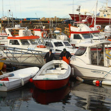 Dalvik Vegamot Cottages, 达尔维克 — 照片 2