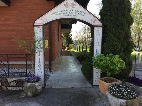 Guest House Bakhus, 申楚尔 — 照片 1