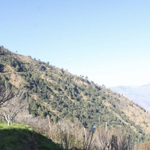 AJ Himalayan Homestay, Bithal — photo 5