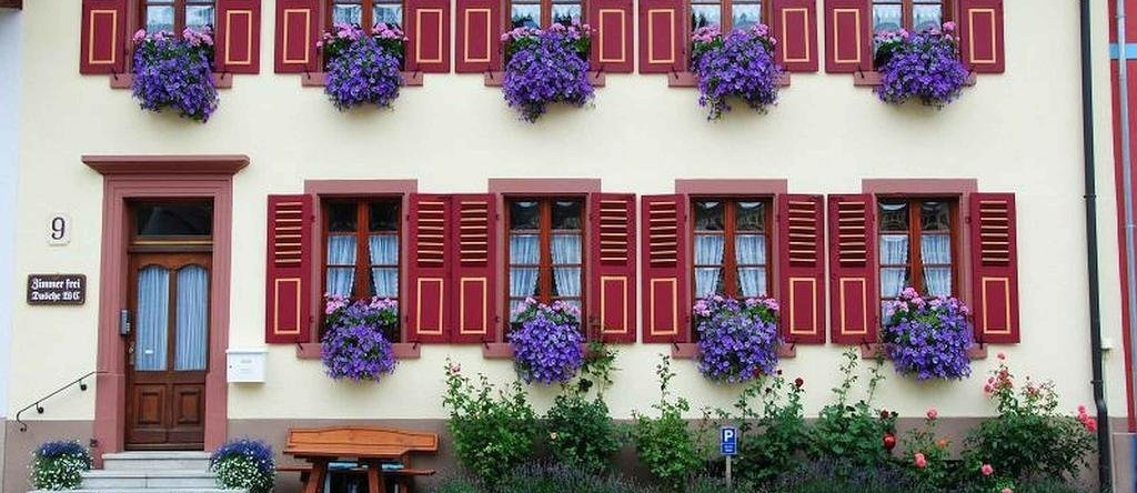 Haus am Bühl, 黑森林舍瑙 — 照片 1