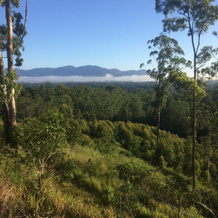 Bellingen Bed and Breakfast, Bellingen — photo 4