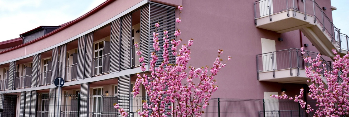 Privilege Apartments, 维梅尔卡泰 — 照片 1