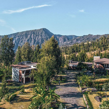 Jiwa Jawa Resort Bromo, 恩加迪萨里 — 照片 3