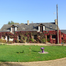 Aux Parc aux Lièvres, 拉弗莱什 — 照片 4