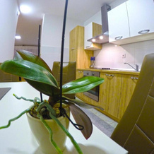 Apartmani Oletić 4*, 穆拉河畔圣马丁 — 照片 4
