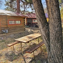 'Autumnsong Fireside' Cabin Near Dtwn Buena Vista!, Буэна-Виста — фото 4