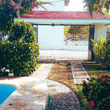 Amazing House in Manzanilla Beach- Entire House, 圣克鲁斯德米拉马尔 — 照片 4