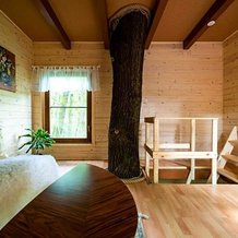 Treehouse Zlatá Koruna, Zlata Koruna — photo 4