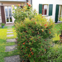Cozy flat with garden in Franciacorta & Iseo Lake, Paderno Franciacorta — photo 2
