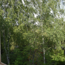 V Tikhom Rayone Flat, Balahna — photo 5