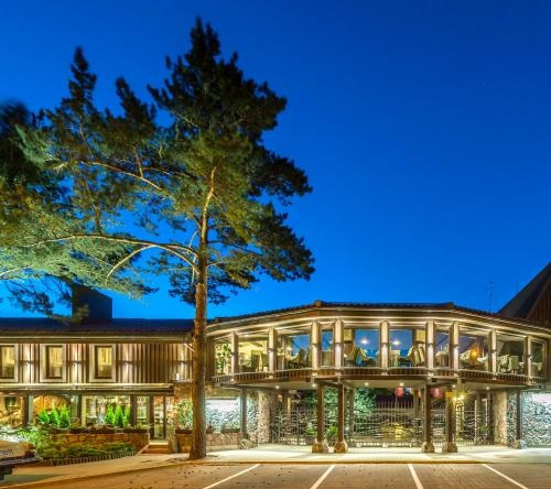 Hotel Pusu Paunksneje, Паланга — фото 1