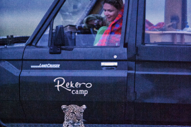 Rekero Camp, Национальный заповедник Масаи-Мара — фото 1