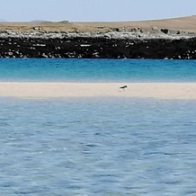 The Fisherman's Snug North Uist, 洛赫马迪 — 照片 3