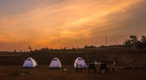 Camp Pawna By Wanderbuff, Сангадевади — фото 1